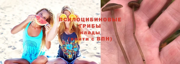 spice Баксан