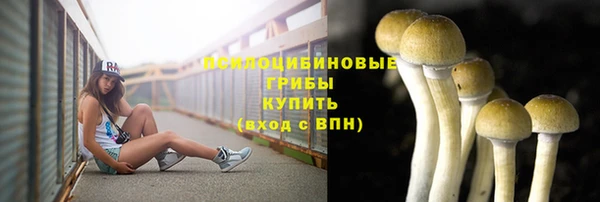 ALPHA PVP Белокуриха