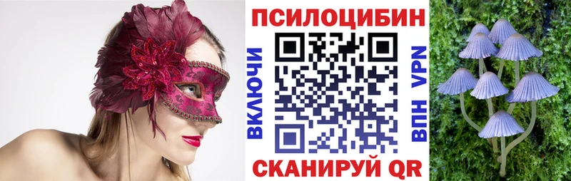 kraken вход  Балаково  Галлюциногенные грибы Magic Shrooms 